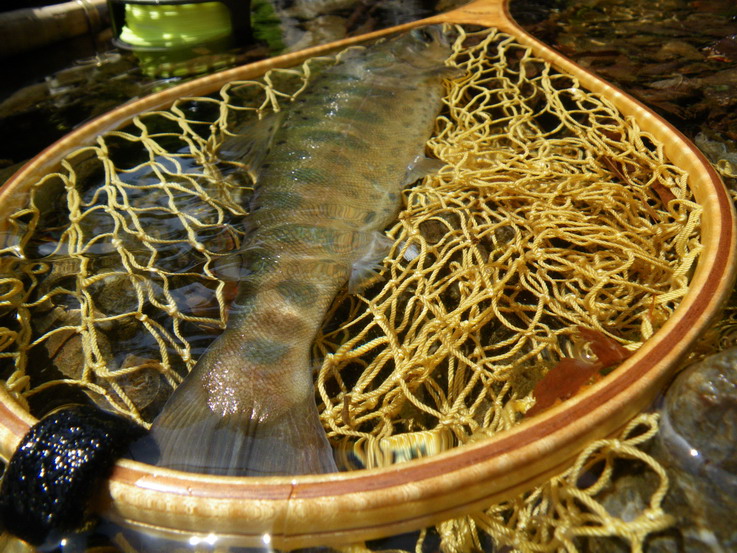 a0119562_8135324.jpg