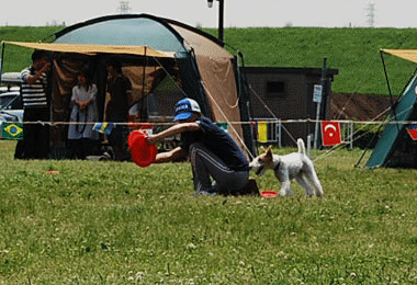 b0091373_23581075.gif