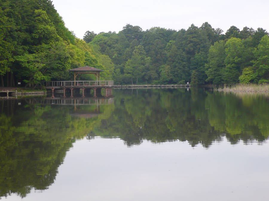 b0163381_17211016.jpg
