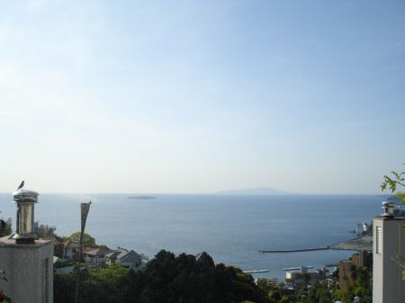 2009年5月15日 だめだめ、やっぱり偽物は_b0098584_681646.jpg