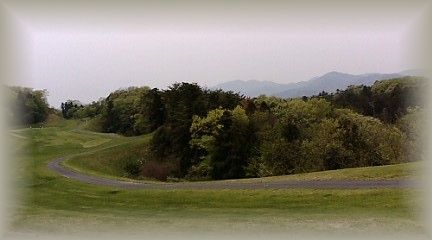 b0059087_89495.jpg