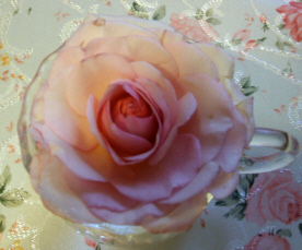 d0099791_17382339.jpg