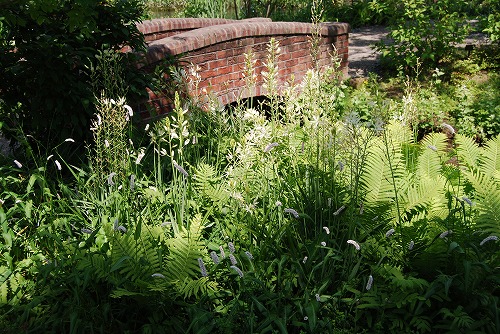 c0124100_221536.jpg
