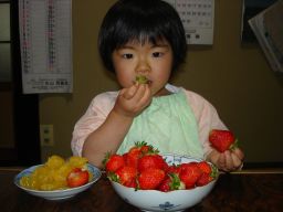 カフェプレス&水出しコーヒー&Mさまケーキ&マコwithいちご_e0166301_19184947.jpg