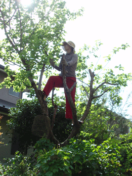 c0129702_11511657.gif