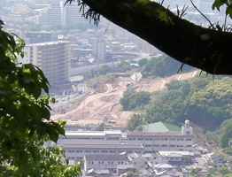 c0052304_641466.jpg