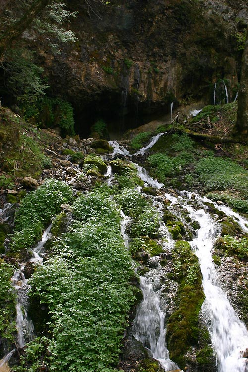 c0067206_1732127.jpg