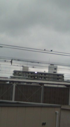 雨が止んだら_f0202210_2151079.jpg