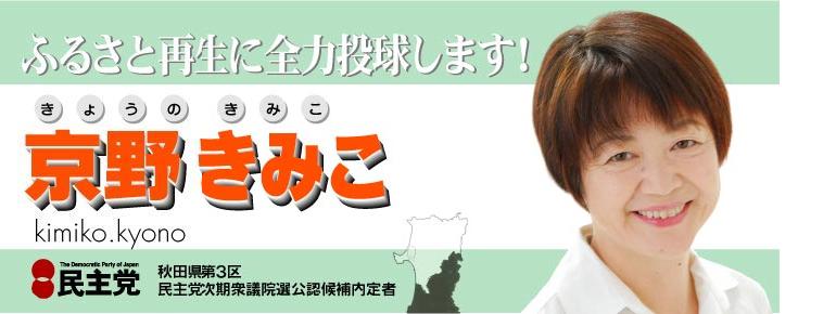菅直人総理・代表誕生「みんなでつくる」日本・民主党への課題_e0094315_21534643.jpg