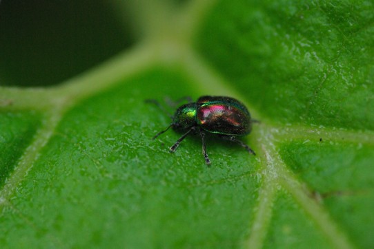 c0152317_183364.jpg