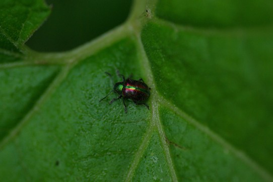 c0152317_1834852.jpg