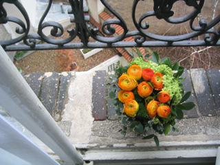 a0119620_048946.jpg