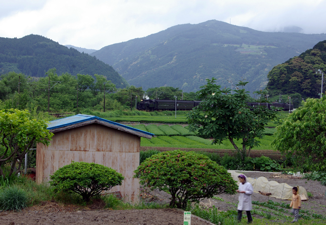 抜里駅　　　　　大井川鉄道_d0072720_14333011.jpg