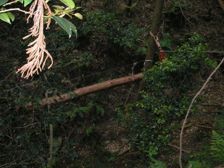a0048823_2147768.jpg