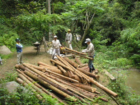 a0048823_21551375.jpg