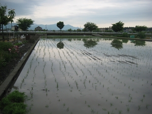 c0157523_810896.jpg