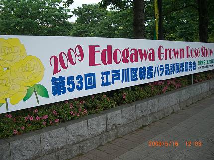 d0065324_0115280.jpg