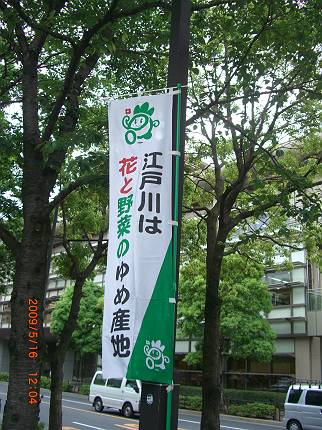 d0065324_0122989.jpg