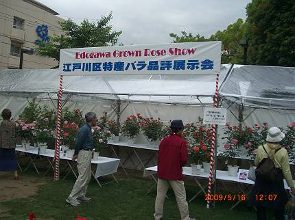 d0065324_0143811.jpg