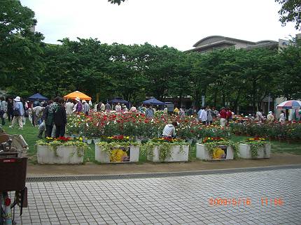 d0065324_02541.jpg