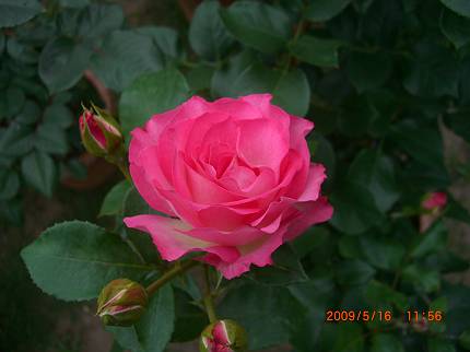 d0065324_041334.jpg