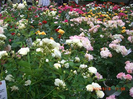 d0065324_071719.jpg