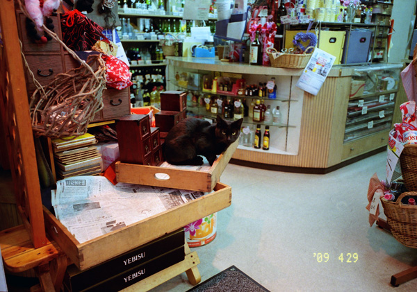 f0137626_14502449.jpg
