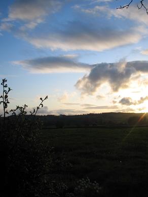 f0150936_856936.jpg