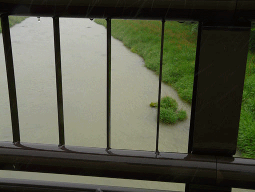 a0056140_17441480.gif