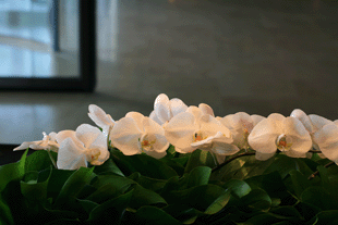 f0134642_0494296.gif