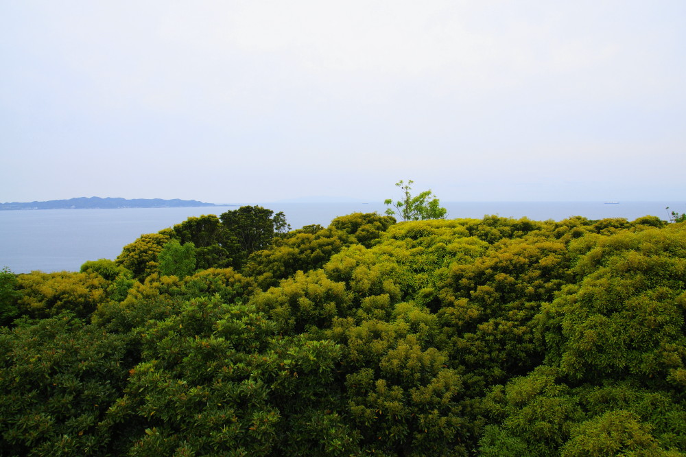 大房岬自然公園～南房総市富浦町～_e0132243_21134639.jpg