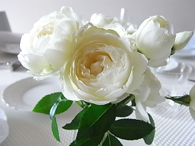 スイートオールド_b0145846_21242313.jpg
