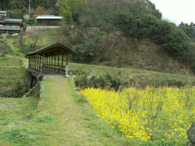 愛媛　松山・内子旅行　初日_c0190046_16164528.jpg