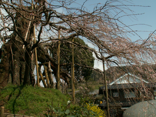 愛媛　松山・内子旅行　初日_c0190046_16291771.jpg