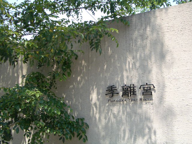 a0110659_11165643.jpg