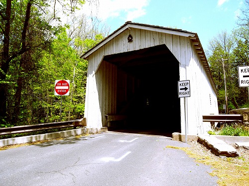 アメリカ : Covered Bridge、FUERZA BRUTA_e0155459_7251452.jpg