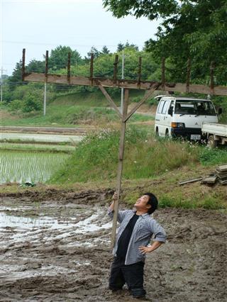 田植えしました!_c0177665_18391325.jpg