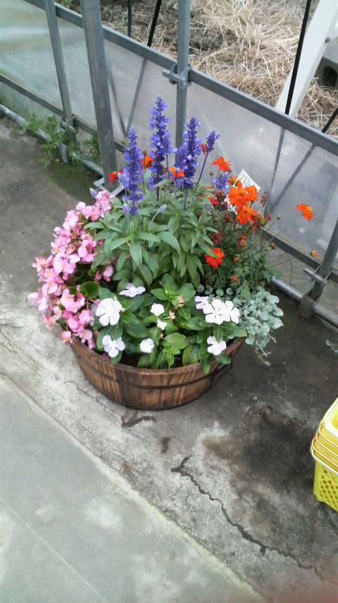 寄せ植え ガーデン エンジョイ ナーセリー Gen