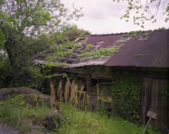 c0054876_18143522.jpg