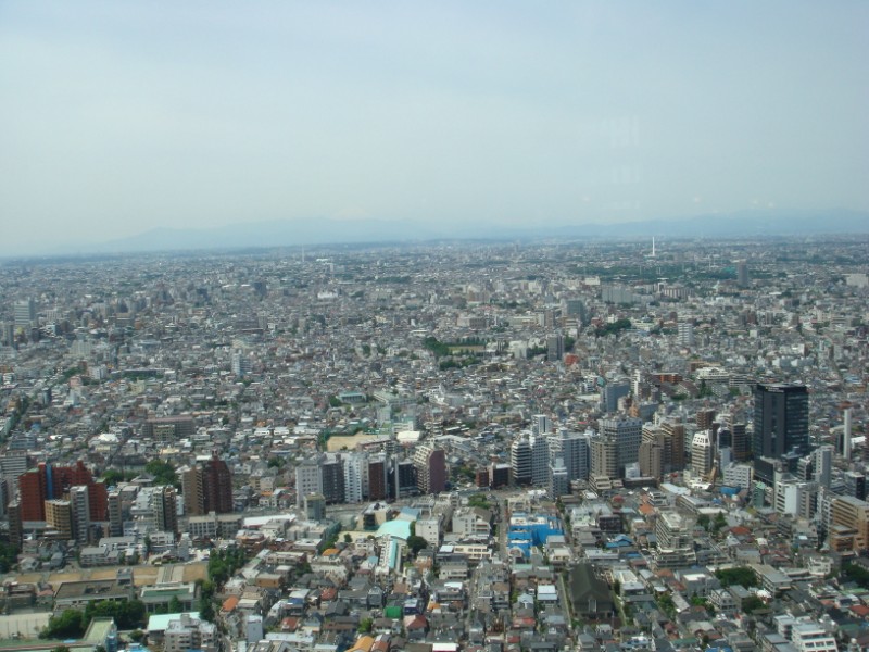 d0116376_157243.jpg
