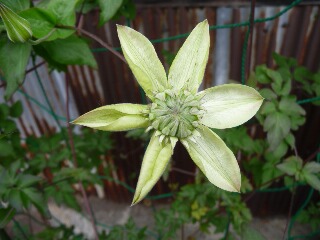 e0046477_2110540.jpg