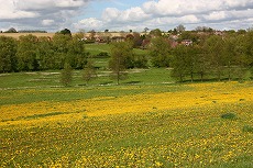 a0107981_2324381.jpg