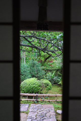 宝泉寺_f0080385_22365695.jpg