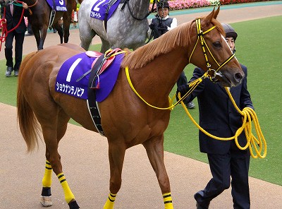 格の違い見せつけた！ヴィクトリアマイルは、ウオッカが７馬身差の歴史的圧勝_b0015386_23222061.jpg