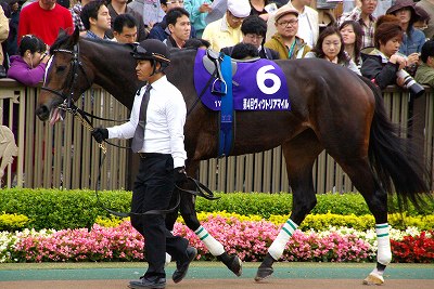 格の違い見せつけた！ヴィクトリアマイルは、ウオッカが７馬身差の歴史的圧勝_b0015386_232335.jpg