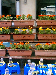 小学校 プランター植え替え 花で町を飾る会