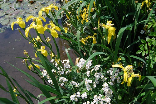 c0124100_18243359.jpg