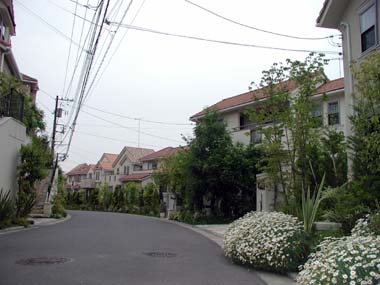 c0184800_1459358.jpg