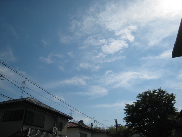 a0101802_153783.jpg