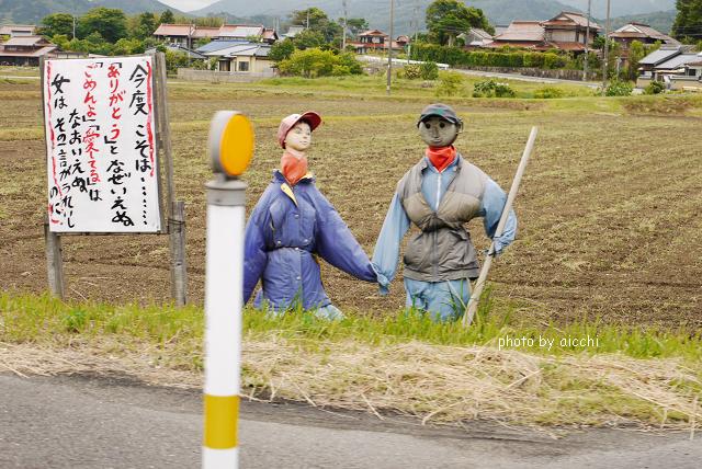 「今度こそは・・・」_c0198903_21181392.jpg